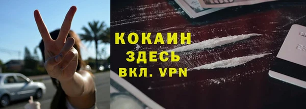 ешки Бородино