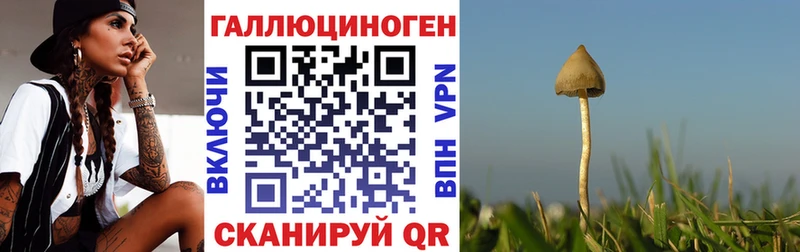 Галлюциногенные грибы Psilocybe  Кемь 